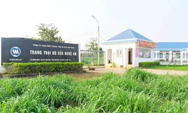 Trang trại b&ograve; sữa Vinamilk tại Nghệ An