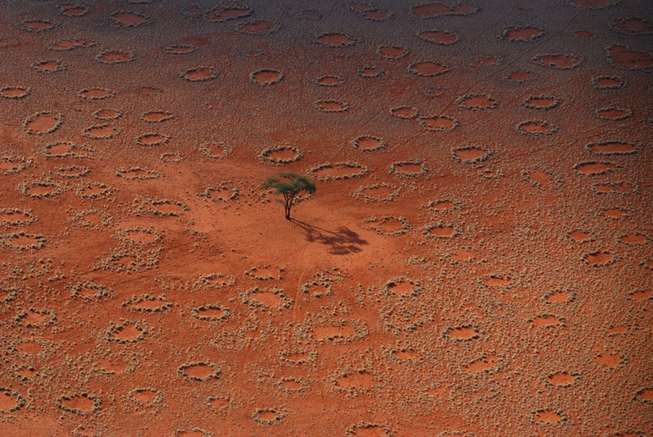 Vòng cổ tích, Namibia Vòng kết nối là các bản vá huyền bí của đất trống xuất hiện trên đồng cỏ châu Phi tươi tốt. Nếu bay từ Angola đến Nam Phi và bạn sẽ thấy hàng ngàn các bản vá này và đôi khi có đướng kính lên đến 9m. Các nhà khoa học cho rằng loài mối sống dưới những vòng tròn này và tiêu thụ các thảm 13Win19 thể thao, đá gà, bắn cá, game bài, nổ hũ bên trong, do đó giữ mưa, đất ẩm. 