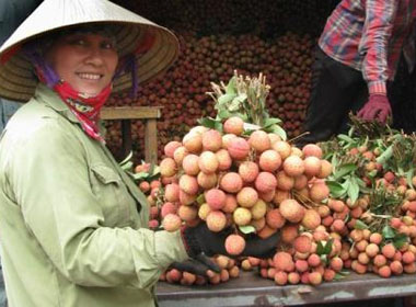 Ứng dụng xử l&iacute; chiếu xạ kiểm dịch