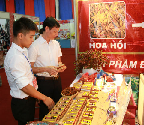 Đặc sản hoa hồi Lạng Sơn