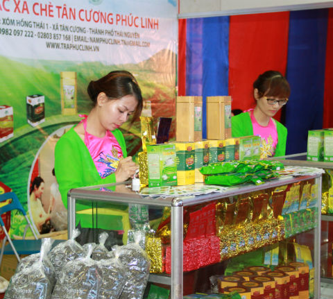 Đặc sản chè Tân Cương