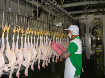 &Aacute;p dụng ISO 22000