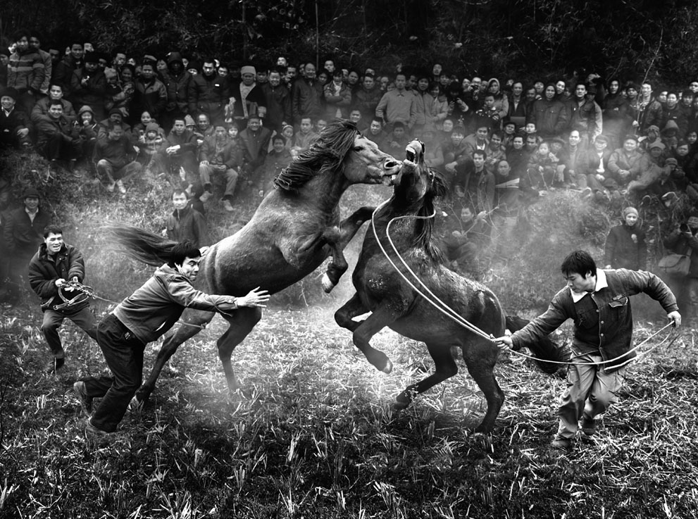 Ảnh đoạt giải nhì National Awards, Trung Quốc, tác giả Ngai-bun Wong: Đấu ngựa ở Rongshui, Guangxi, Trung Quốc.