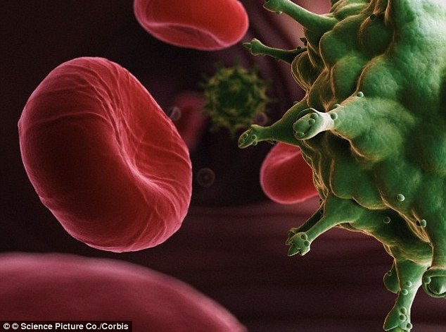 Đ&atilde; loại bỏ được virus HIV khỏi tế b&agrave;o người