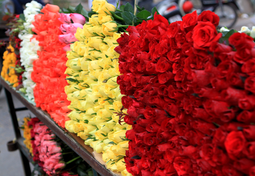 Hoa cho ng&agrave;y valentine 2014