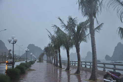 B&atilde;o số 14 ảnh hưởng nghi&ecirc;m trọng đến Quảng Ninh v&agrave; Hải Ph&ograve;ng