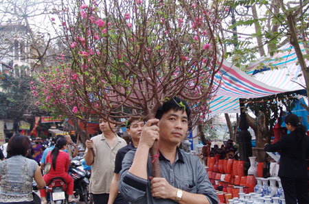 Thời tiết tết gi&aacute;p ngọ rất đẹp v&agrave; ph&ugrave; hợp để đi chơi