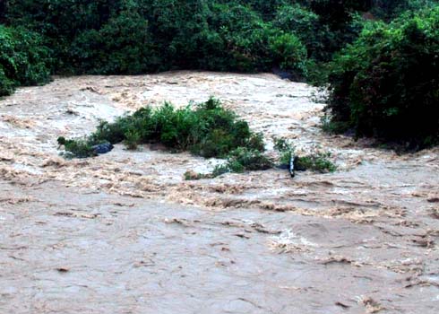 Lũ tr&ecirc;n c&aacute;c s&ocirc;ng miền trung từ Nghệ An đến Quảng B&igrave;nh đang l&ecirc;n rất nhanh