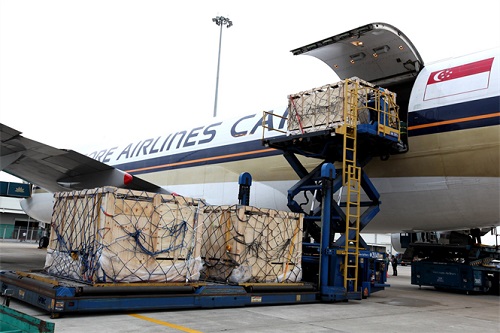 Vinamilk nhập h&agrave;ng ng&agrave;n b&ograve; sữa từ nước ngo&agrave;i về Việt Nam