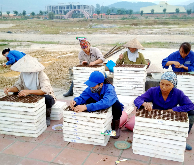 C&ocirc;ng nh&acirc;n của VinEco tiến h&agrave;nh gieo c&aacute;c loại c&acirc;y giống c&oacute; năng suất chất lượng cao