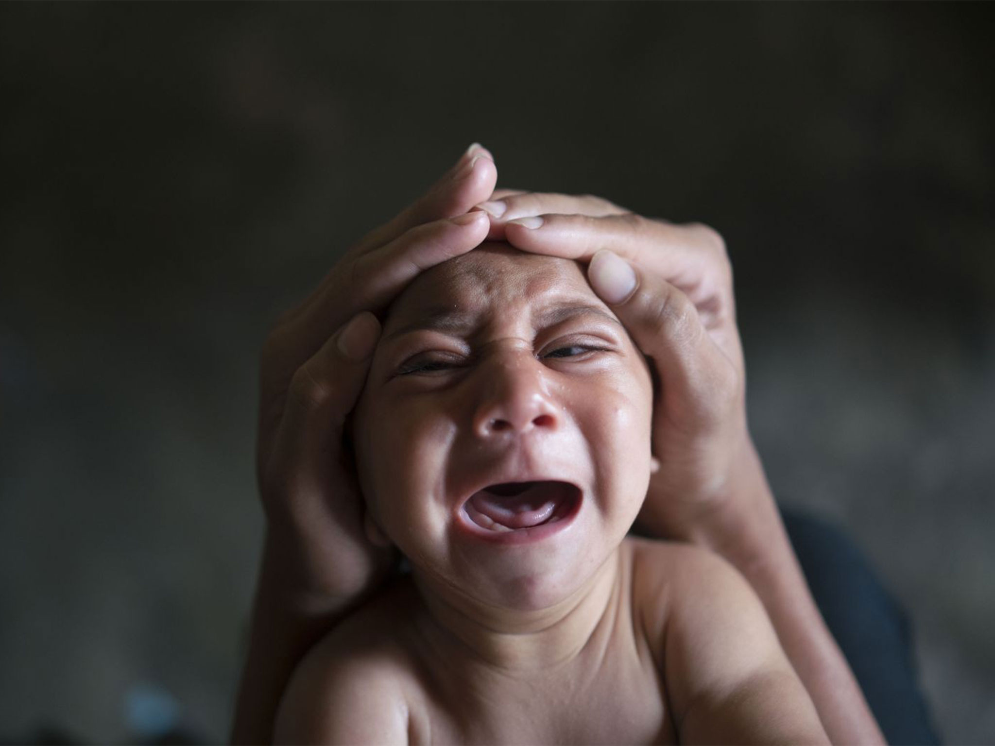 Virus Zika ăn n&atilde;o người: Nguy cơ lan tới H&agrave; Nội l&agrave; rất lớn