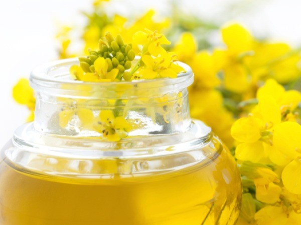 Vitamin E trong dầu hạt cải gây viêm phổi Vitamin E trong dầu hạt cải gây viêm phổi