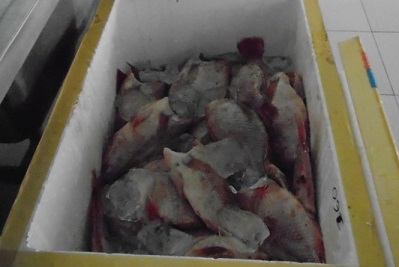 L&agrave;m r&otilde; vụ 
