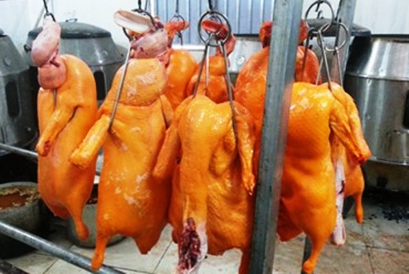 vịt nhuộm phẩm màu vịt nhuộm phẩm màu