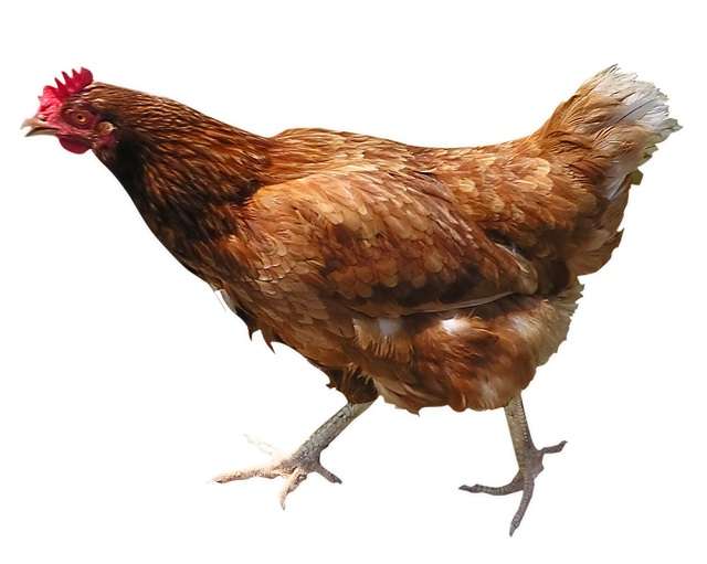Vụ &aacute;n hy hữu ở Nigeria cặp vợ chồng đ&acirc;m h&agrave;ng x&oacute;m chỉ v&igrave; c&atilde;i nhau về con g&agrave;