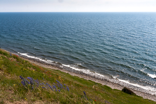 Biển Baltic - nơi c&oacute; những v&ugrave;ng chết đ&aacute;ng sợ