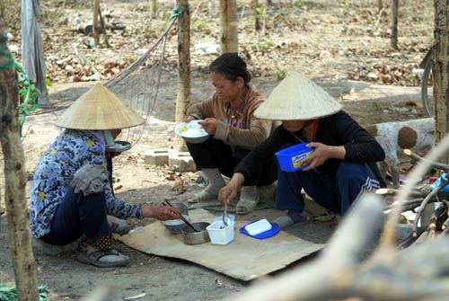 x&acirc;y dựng n&ocirc;ng th&ocirc;n mới