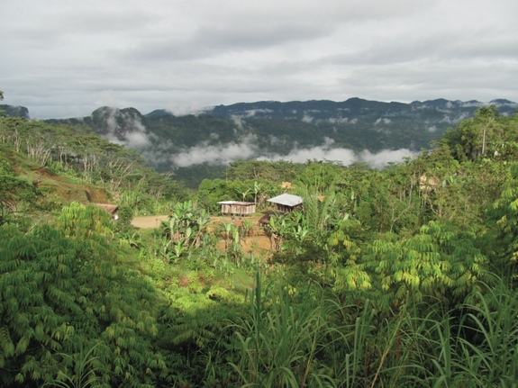 Ng&ocirc;i l&agrave;ng Koke, Papua New Guinea, nơi tin rằng x&aacute;c ướp hun kh&oacute;i sẽ gi&uacute;p họ giao tiếp với thế giới linh hồn