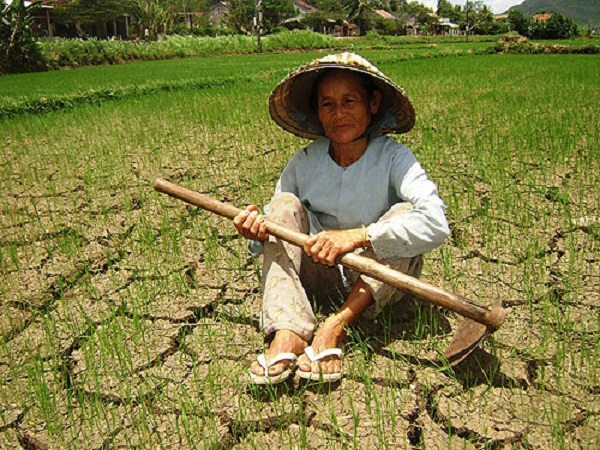 X&acirc;m nhập mặn v&agrave; hạn h&aacute;n ở Việt Nam: C&oacute; thể tắm biển ở Bến Tre
