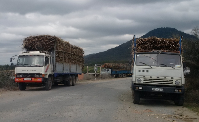 Xe qu&aacute; tải &lsquo;lộng h&agrave;nh&rsquo;, Ch&aacute;nh Thanh tra Sở GTVT bị đ&igrave;nh chỉ c&ocirc;ng t&aacute;c
