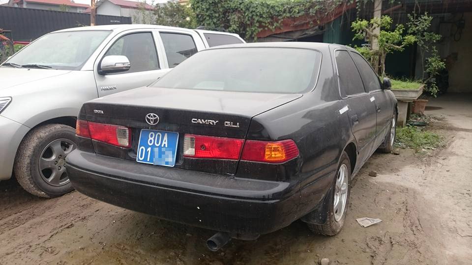 xe biển xanh giả