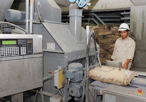 VICEM lu&ocirc;n ch&uacute; trọng đ&agrave;o tạo, ph&aacute;t triển nguồn nh&acirc;n lực để n&acirc;ng cao chất lượng to&agrave;n c&ocirc;ng ty