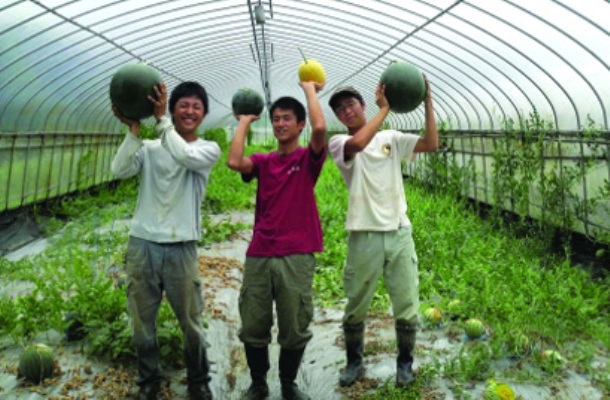 xuất khẩu 13Win18 cá cược thể thao sang nhật bản