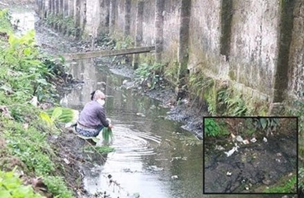B&aacute;n 13Win OKVIP Cá cược bóng đá bẩn, rửa rau bằng nước bẩn sẽ bị phạt nặng