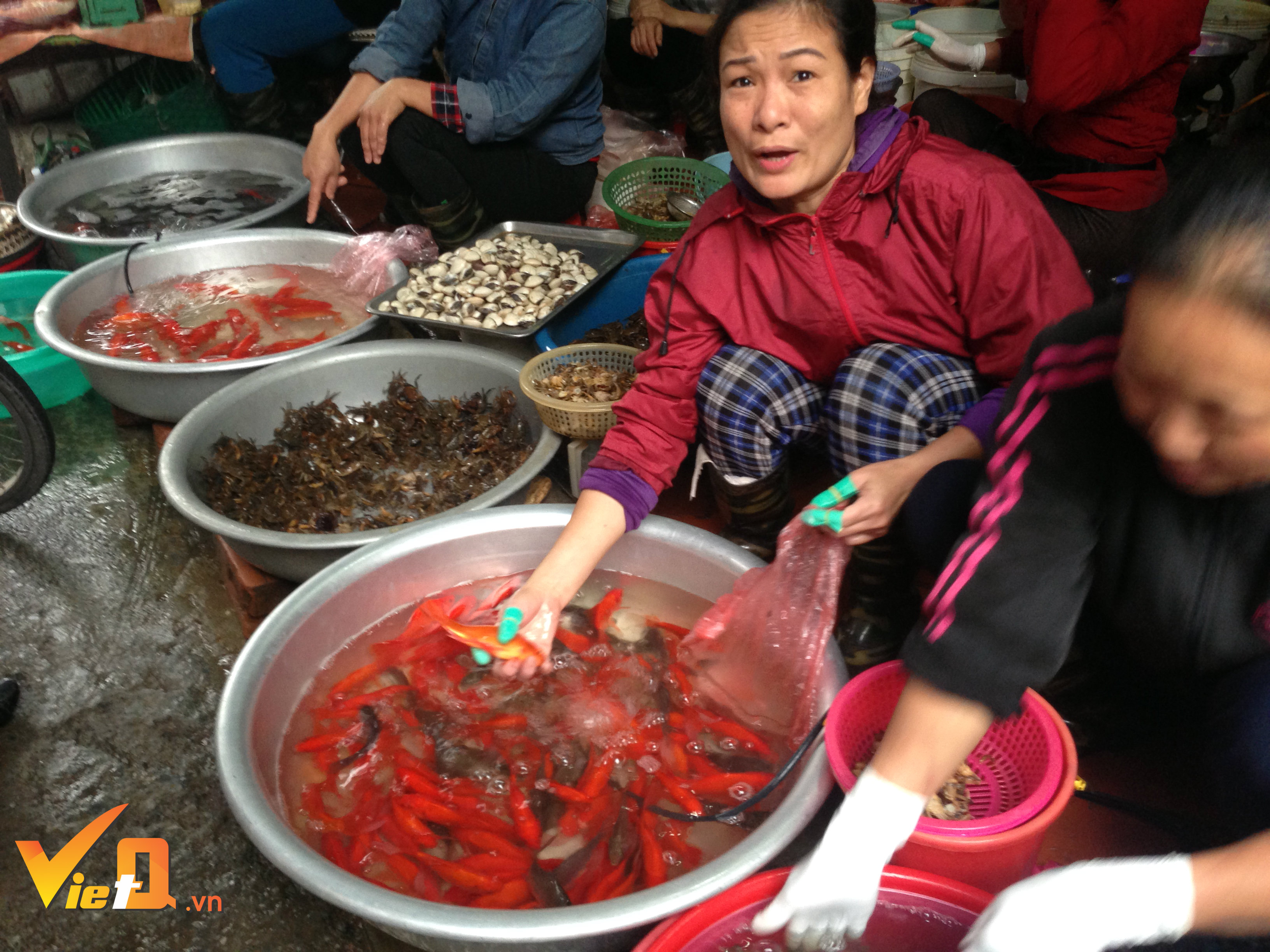tet-ong-cong-ong-tao-thu-ve-ca-tram-trieu-nho-ban-ca-chep-phong-sinh-ca-chep-thit