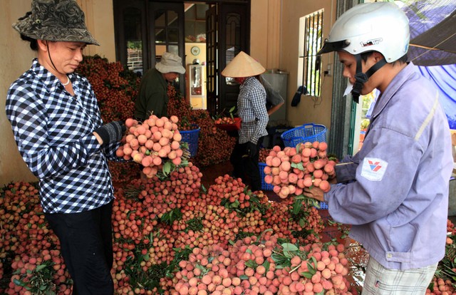 hai-duong-nang-cao-nang-suat-chat-luong-san-pham-hang-hoa-cho-cac-doanh-nghiep-bai-tet