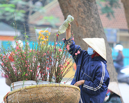 Rằm th&aacute;ng Gi&ecirc;ng: Đ&agrave;o Nhật T&acirc;n cuối m&ugrave;a xuống phố