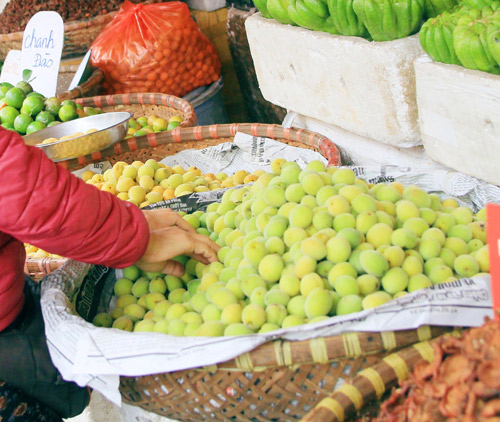 Mơ xanh đầu m&ugrave;a h&uacute;t chị em c&ocirc;ng sở H&agrave; th&agrave;nh