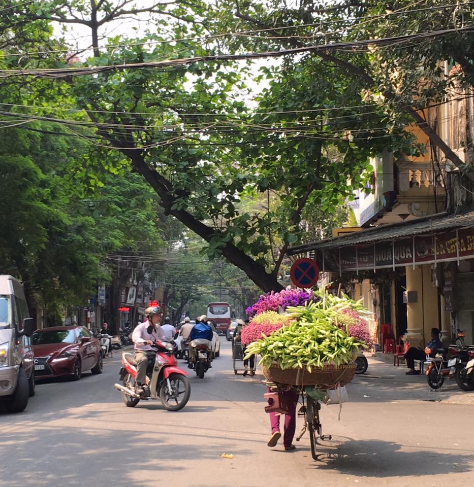 Hoa loa k&egrave;n xuống phố, gi&aacute; rẻ bất ngờ