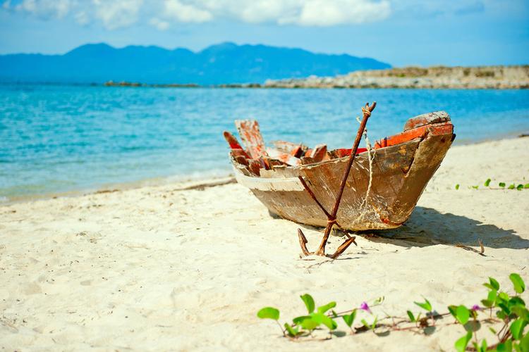 100.000 đồng/kg vải đầu m&ugrave;a, thương l&aacute;i l&atilde;i 2 triệu mỗi ng&agrave;y
