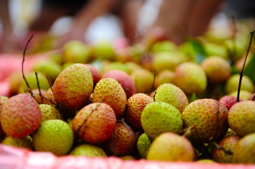 100.000 đồng/kg vải đầu m&ugrave;a, thương l&aacute;i l&atilde;i 2 triệu mỗi ng&agrave;y