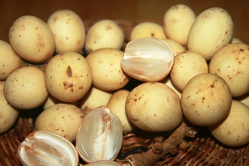B&ograve;n bon đầu m&ugrave;a gi&aacute; đắt, thương l&aacute;i l&atilde;i 2 triệu đồng/ng&agrave;y