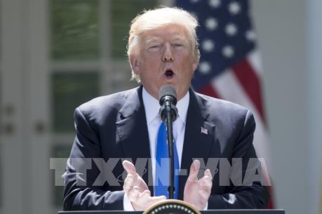 Hơn 1 năm Tổng th&ocirc;́ng Donald Trump thu nhập nửa tỷ USD