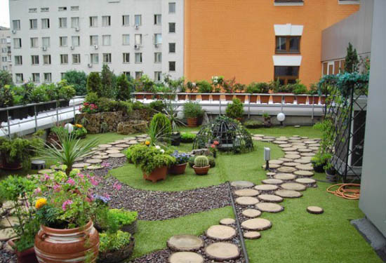 Trồng c&acirc;y phong thủy tr&ecirc;n s&acirc;n thượng cần lưu &yacute; những điều n&agrave;y