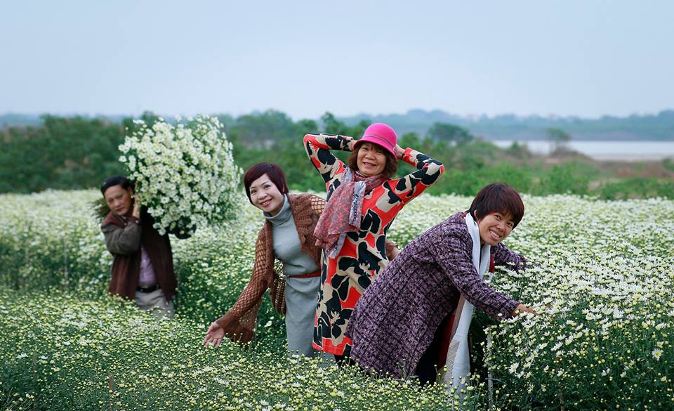 Chỉ cần cho thu&ecirc; vườn c&uacute;c họa mi chụp ảnh, chủ vườn &lsquo;hốt bạc&rsquo; mỗi ng&agrave;y 