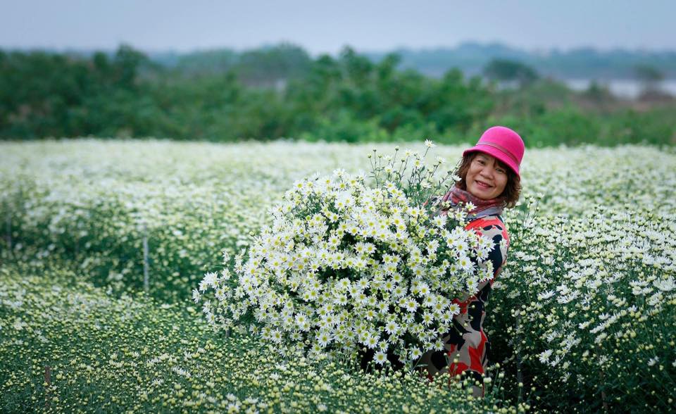 Chỉ cần cho thu&ecirc; vườn c&uacute;c họa mi chụp ảnh, chủ vườn &lsquo;hốt bạc&rsquo; mỗi ng&agrave;y 