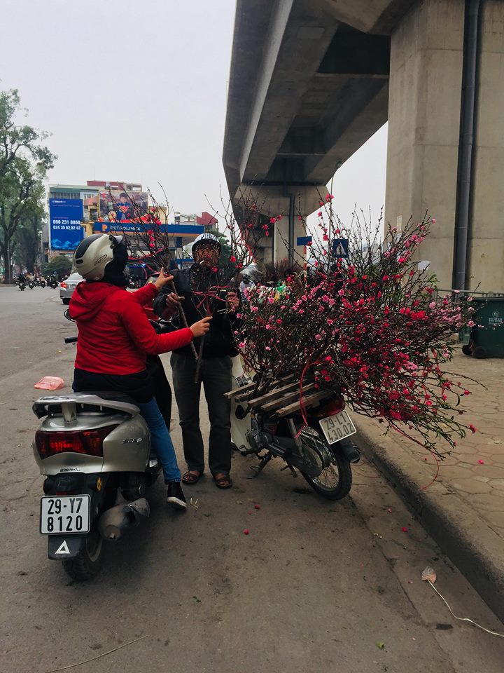 Đ&agrave;o Nhật T&acirc;n xuống phố phục vụ c&uacute;ng rằm th&aacute;ng Chạp c&oacute; gi&aacute; rẻ bất ngờ