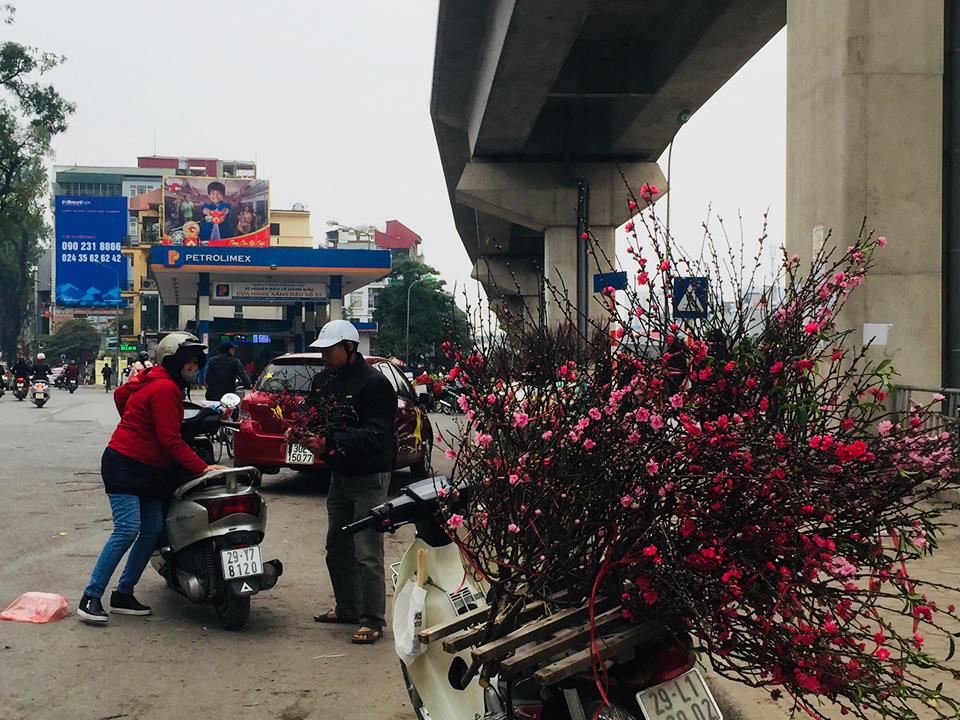 Đ&agrave;o Nhật T&acirc;n xuống phố phục vụ c&uacute;ng rằm th&aacute;ng Chạp c&oacute; gi&aacute; rẻ bất ngờ