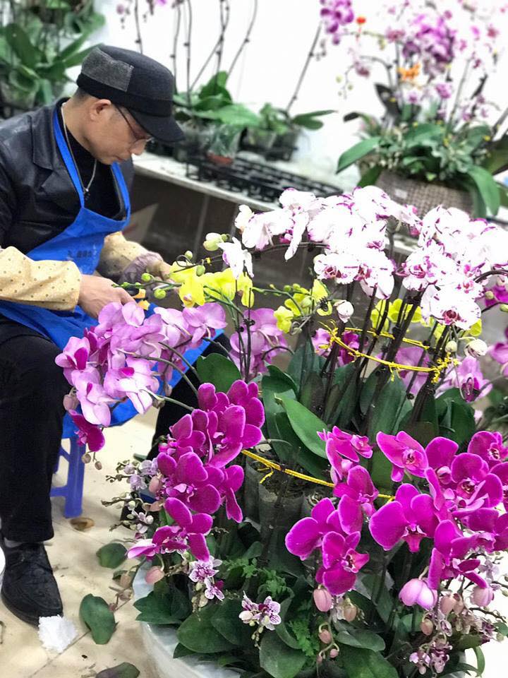 Tết Mậu Tuất: Đ&acirc;y l&agrave; một trong những loại hoa chơi Tết c&oacute; gi&aacute; đắt đỏ tr&ecirc;n thị trường
