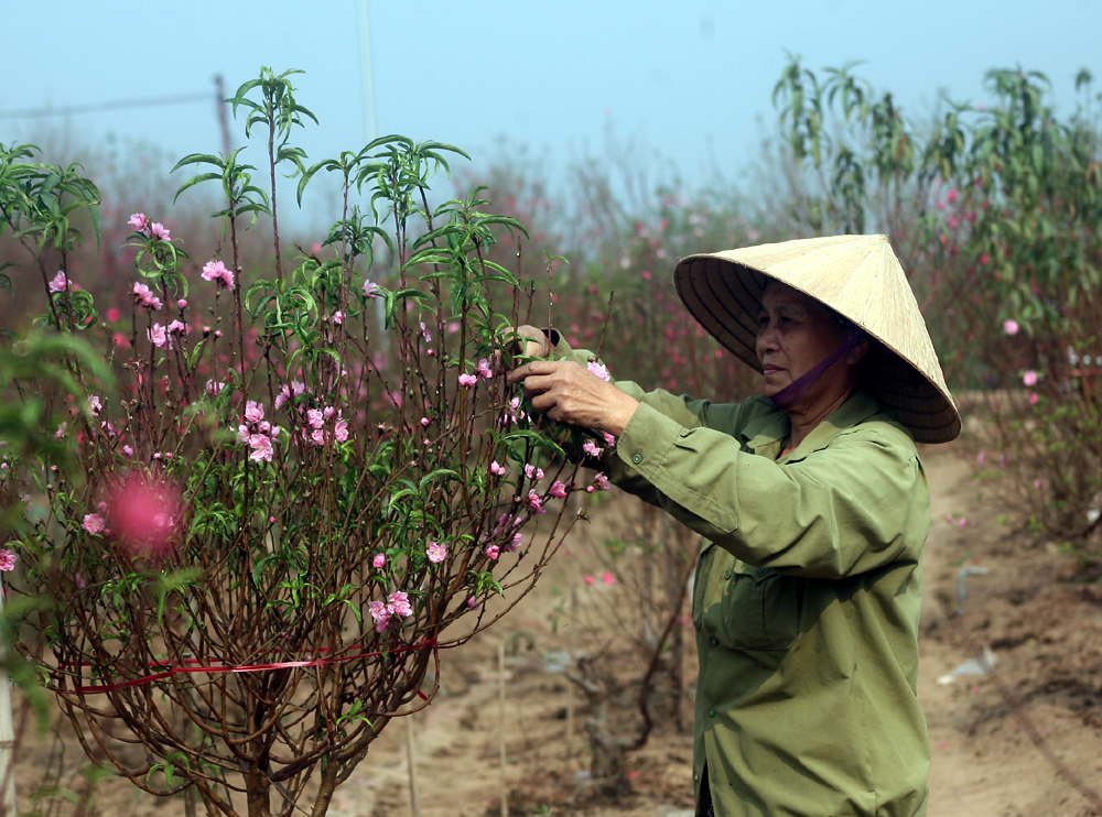 Mỗi mùa Tết qua đi, là bao nỗi niềm đọng lại!