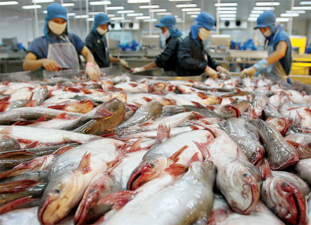 EU r&uacute;t 'thẻ v&agrave;ng' đối với thủy sản: Việt Nam phải chặt chẽ hơn để th&iacute;ch nghi c&aacute;c ti&ecirc;u chuẩn cao