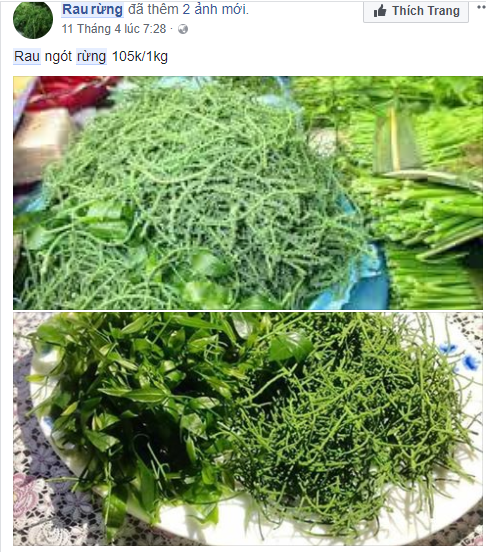 Rau rừng gi&aacute; &lsquo;ch&aacute;t&rsquo; chị em c&ocirc;ng sở vẫn đổ x&ocirc; mua v&igrave; lạ miệng 