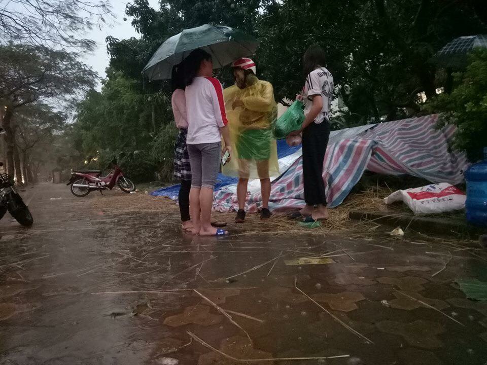 Ch&ugrave;m ảnh: Sinh vi&ecirc;n H&agrave; Nội giải cứu dưa hấu gi&uacute;p n&ocirc;ng d&acirc;n Quảng Ng&atilde;i