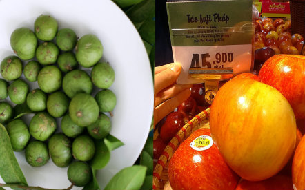 Tr&aacute;i sấu đầu m&ugrave;a đắt hơn cả hoa quả khẩu nhập khẩu