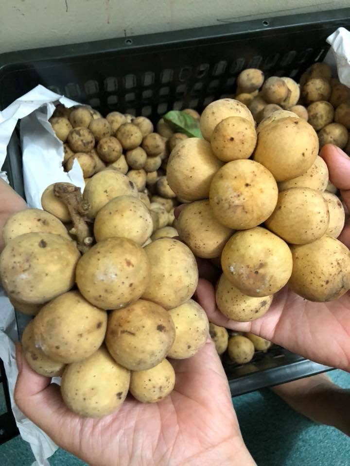B&ograve;n bon đầu m&ugrave;a rẻ như cho ở TP.HCM nhưng lại đắt đỏ hơn tr&aacute;i c&acirc;y nhập khẩu ở H&agrave; Nội