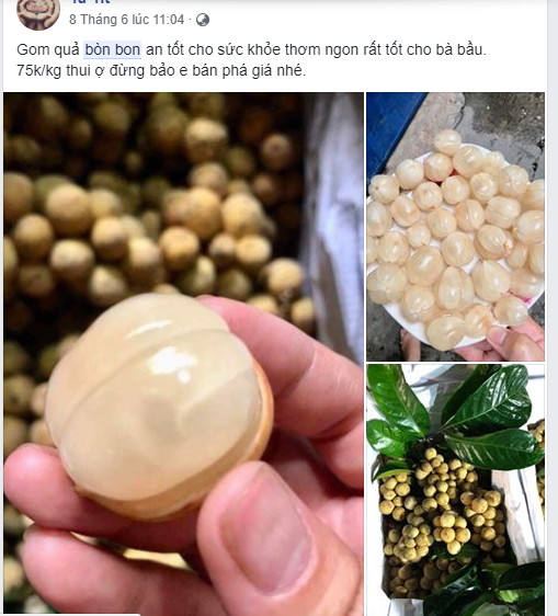 B&ograve;n bon đầu m&ugrave;a rẻ như cho ở TP.HCM nhưng lại đắt đỏ hơn tr&aacute;i c&acirc;y nhập khẩu ở H&agrave; Nội